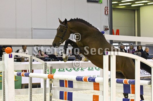 HEY DAY HOPPER_MILANO_2010_SS3_1461.jpg